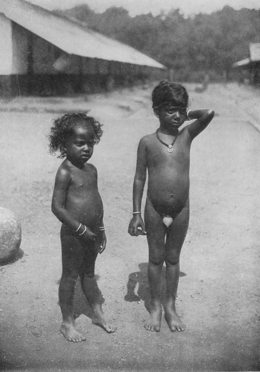 Tamil Estate Children, c1890, 1910 av Alfred William Amandus Plate