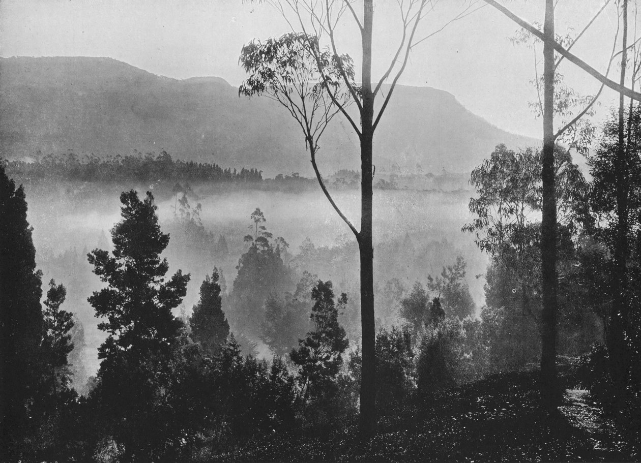 The Early Morning Mist Rising at Nuwara Eliya, c1890, 1910 av Alfred William Amandus Plate