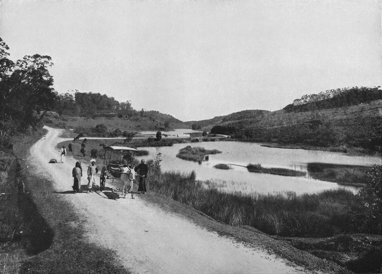 The Moon Plains, Nuwara Eliya, c1890, 1910 av Alfred William Amandus Plate