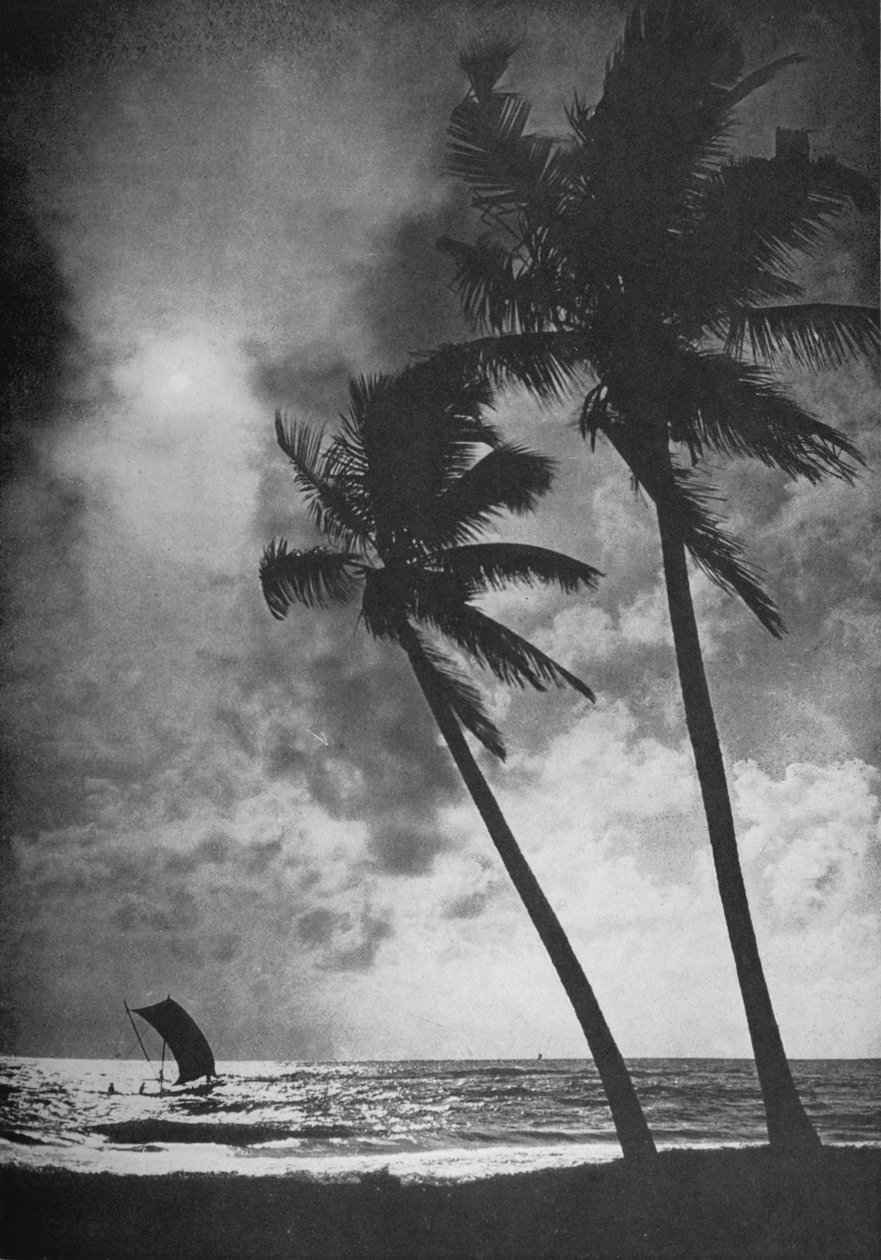 The Palm Fringed Shore ved solnedgang, c1890, 1910 av Alfred William Amandus Plate