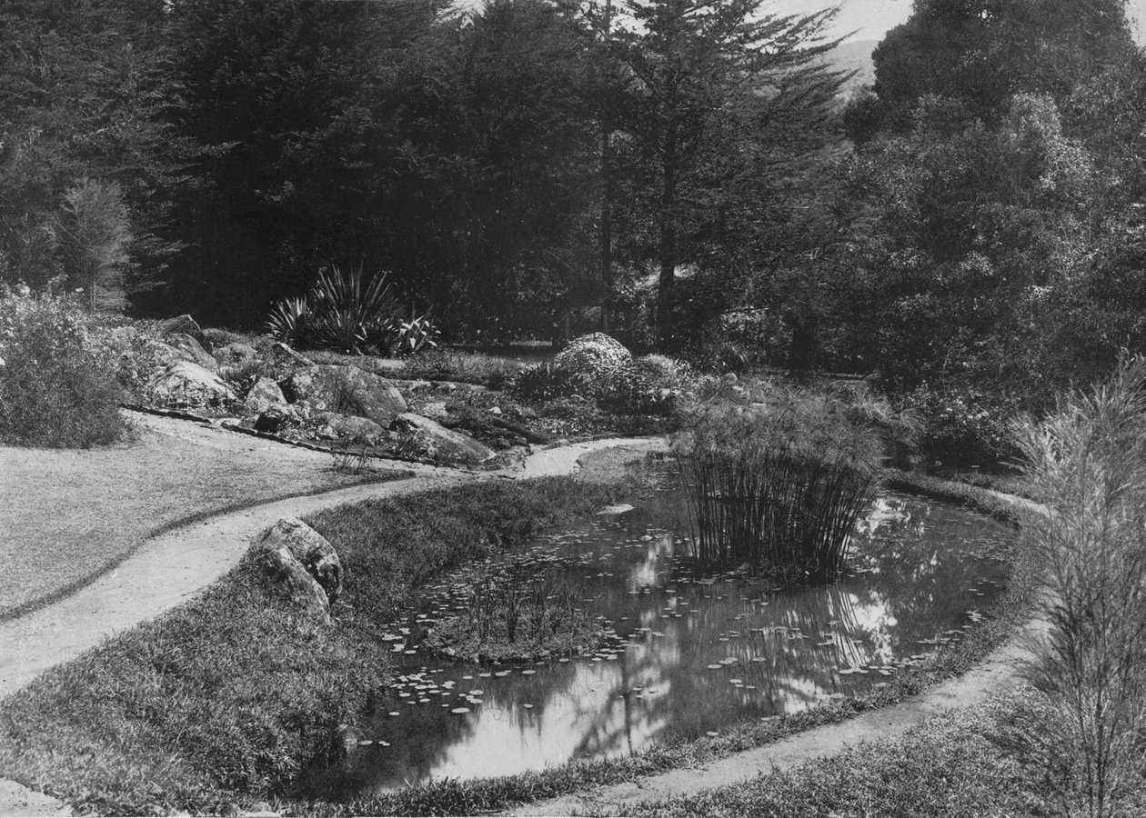 The Rock Garden, Hakgalla Gardens, Nuwara Eliya, c1890, 1910 av Alfred William Amandus Plate