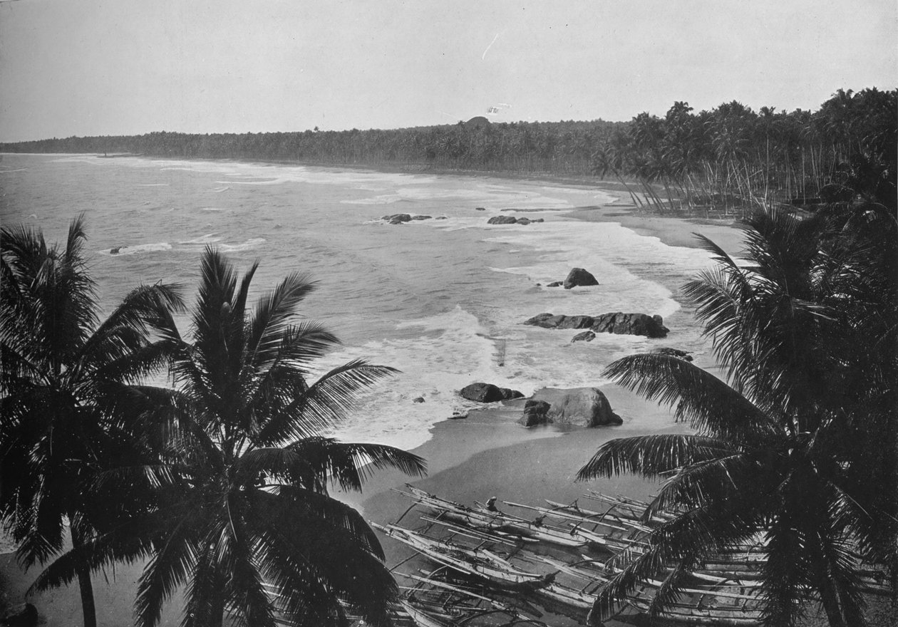 Utsikt fra Mount Lavinia, viser kokosnøttpalmer langs kysten, c1890, 1910 av Alfred William Amandus Plate