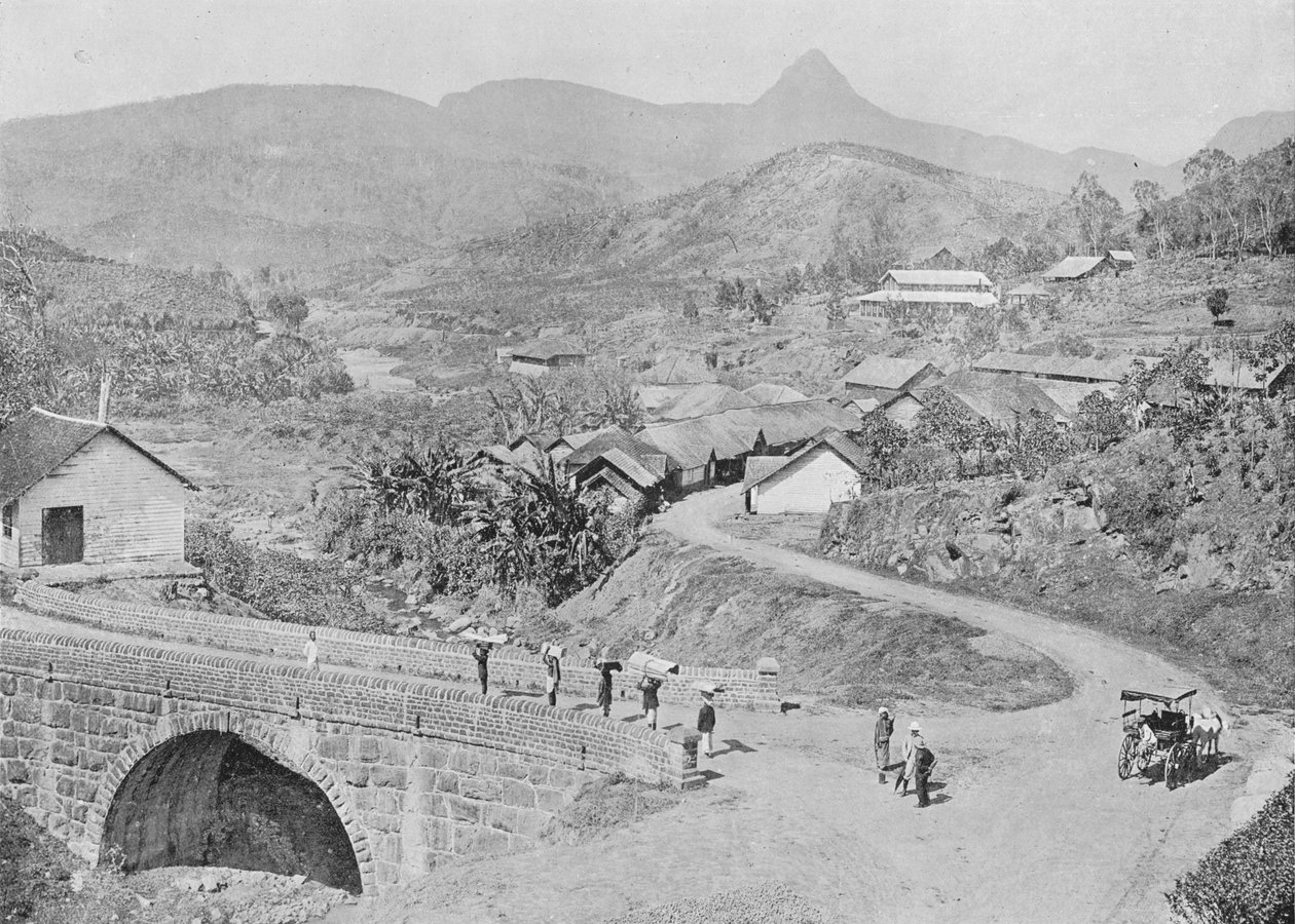 Utsikt over Maskeliya som viser Adams Peak, c1890, 1910 av Alfred William Amandus Plate
