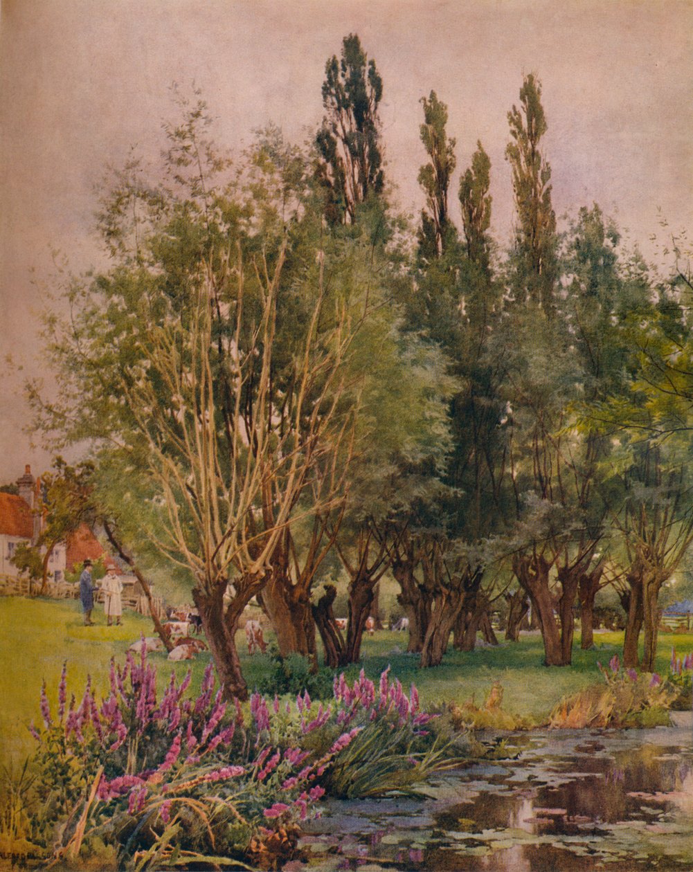 Purple Loosestrife, c1891 av Alfred William Parsons
