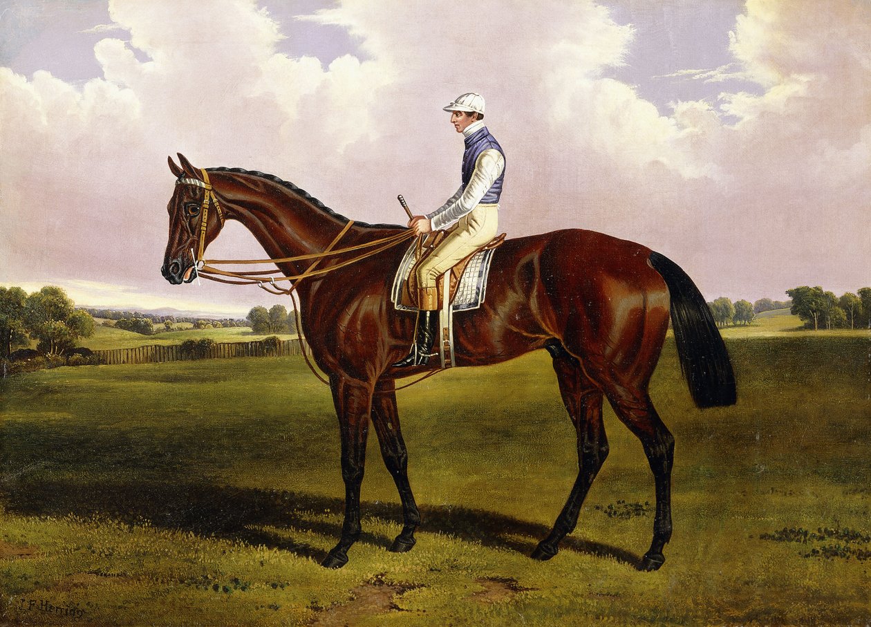 Bloomsbury, A Chestnut Racehorse med Sam Templeman oppe, i et landskap, av Alfred de Prades