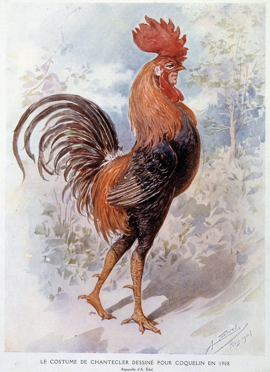 Chantecler Rooster Costume designet for Constant Poppy i 1908, stykke i vers av Edmond Rostand av Alfredo Edel