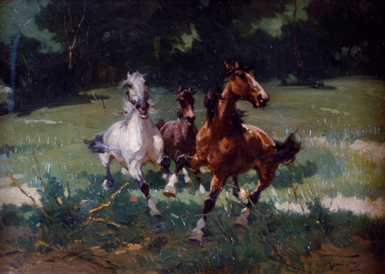 Running Horses, maleri av Alfredo Tominz (1854-1936), olje på papp, 67x48 cm, Italia av Alfredo Tominz