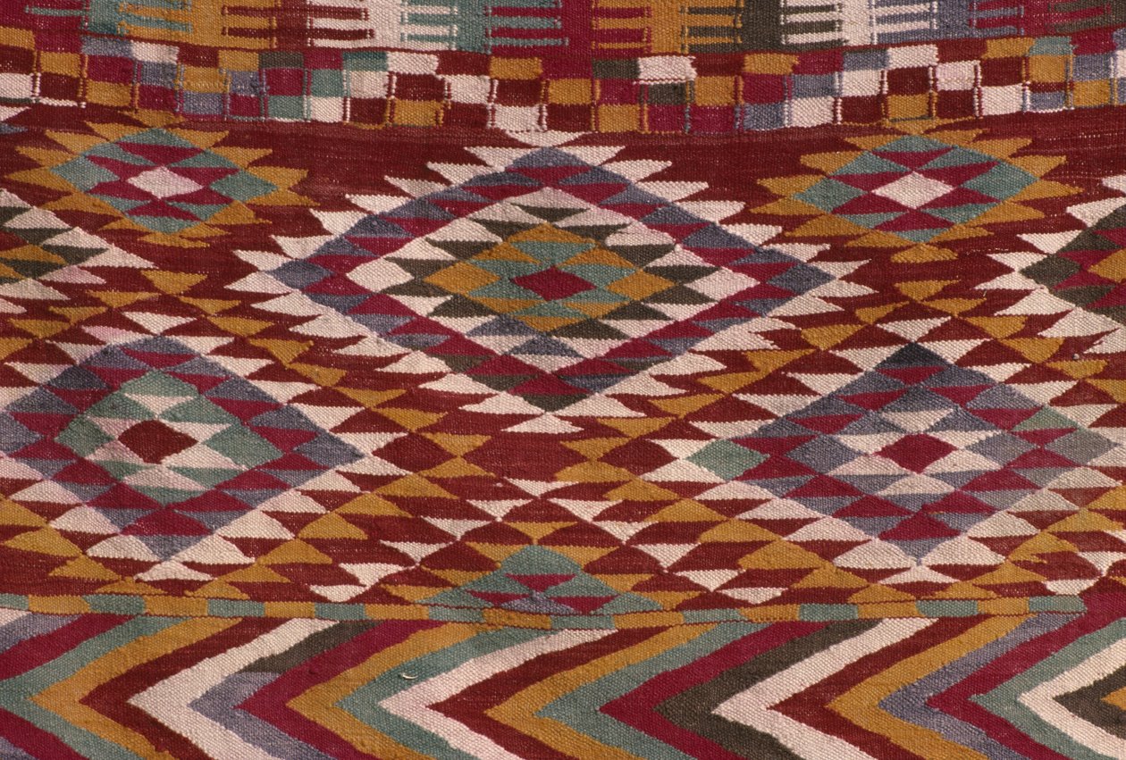Teppe fra Mzab-dalen (ull) (detalj) av Algerian School