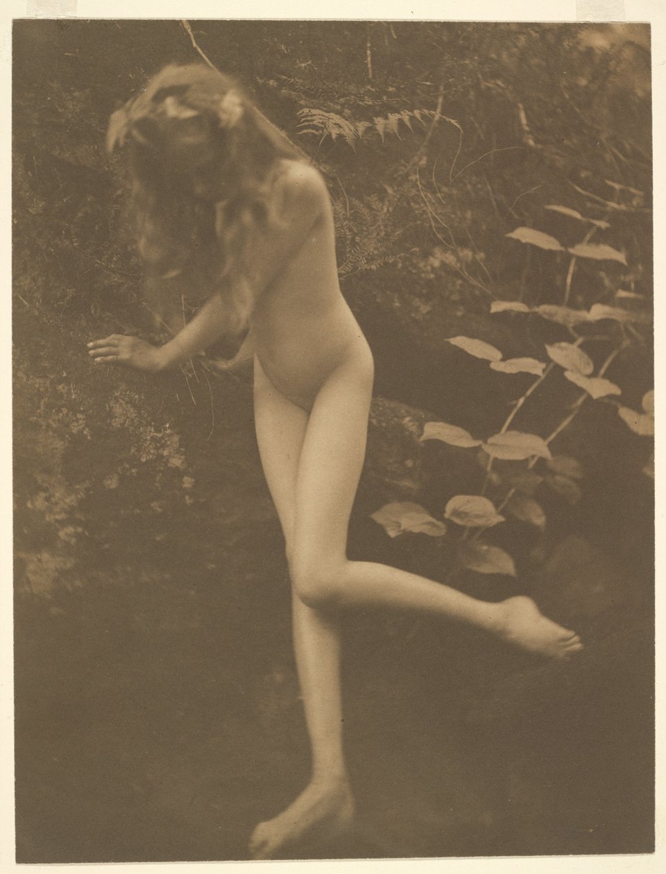  av Alice Boughton