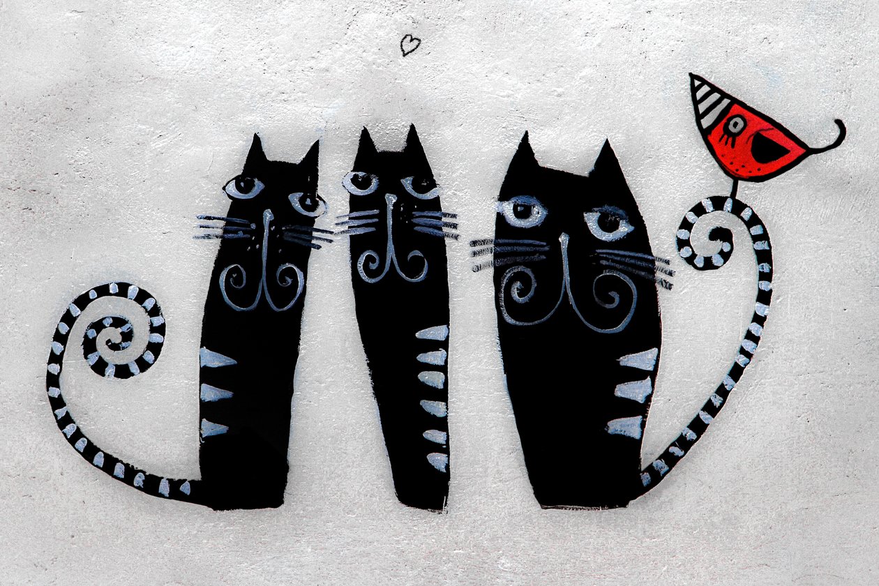 3 katter fra Krakow, 2019 (fotografi) av Alice Gur-Arie