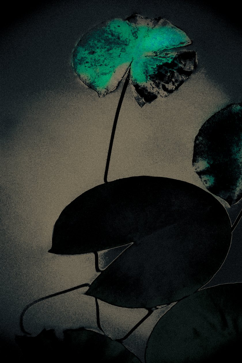 Smaragd vår, fra serien Vår, 2020 (håndmalt fotografi) av Alice Gur-Arie