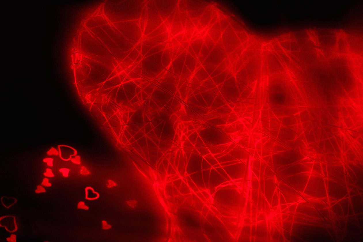 Tangled Heart, fra serien Hearts, 2016 (fotografi) av Alice Gur-Arie