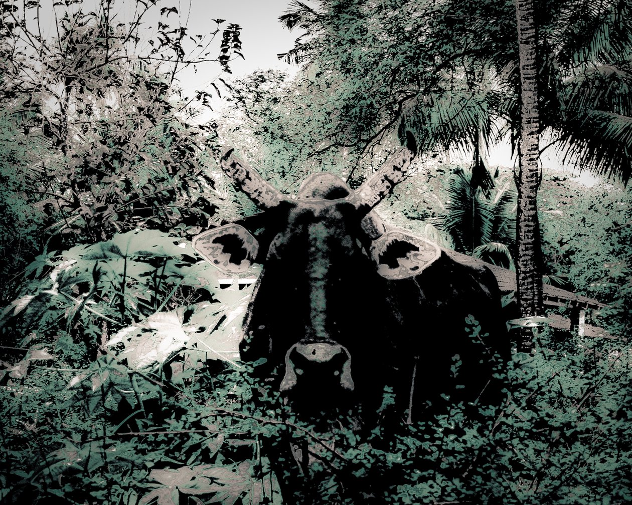 Hytta nær Periyar, 2020 (malt fotografi) av Alice Gur-Arie