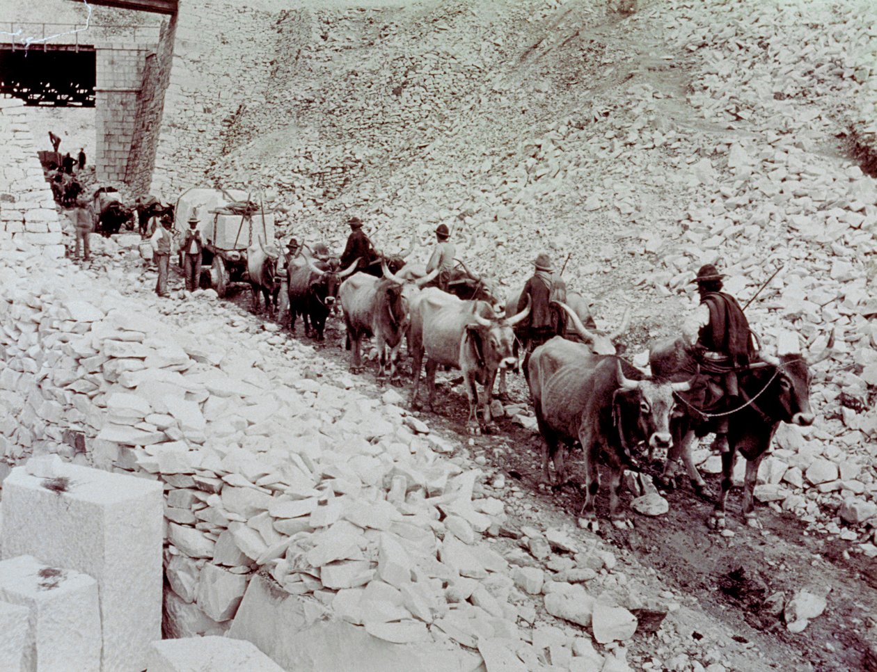 Scene som viser marmorblokker som blir transportert fra et steinbrudd i Carrara. Vognen blir trukket av ti okser (s/hvitt foto) av Fratelli Alinari