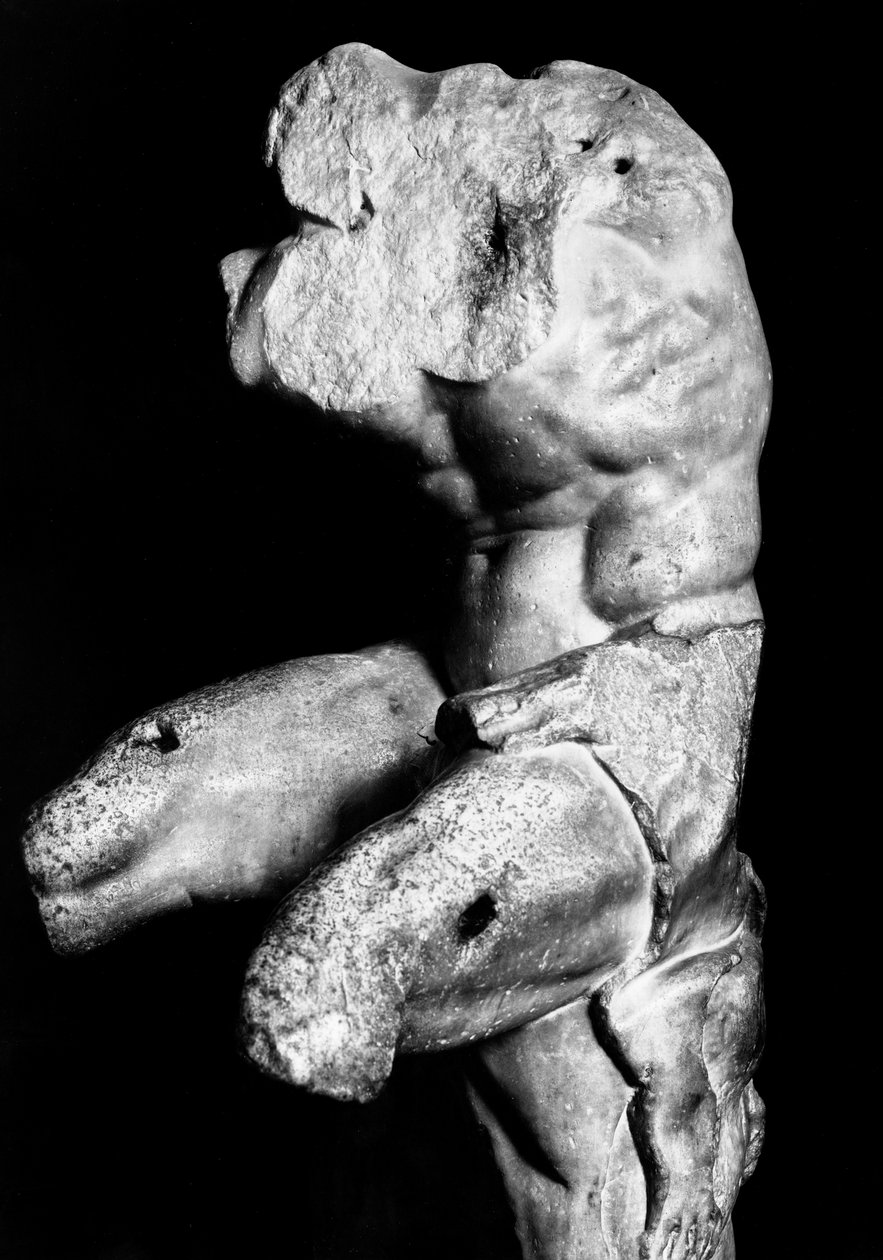 The Belvedere Torso av Apollonios av Nestor, ca. 1890 (s/hvitt-bilde) av Fratelli Alinari