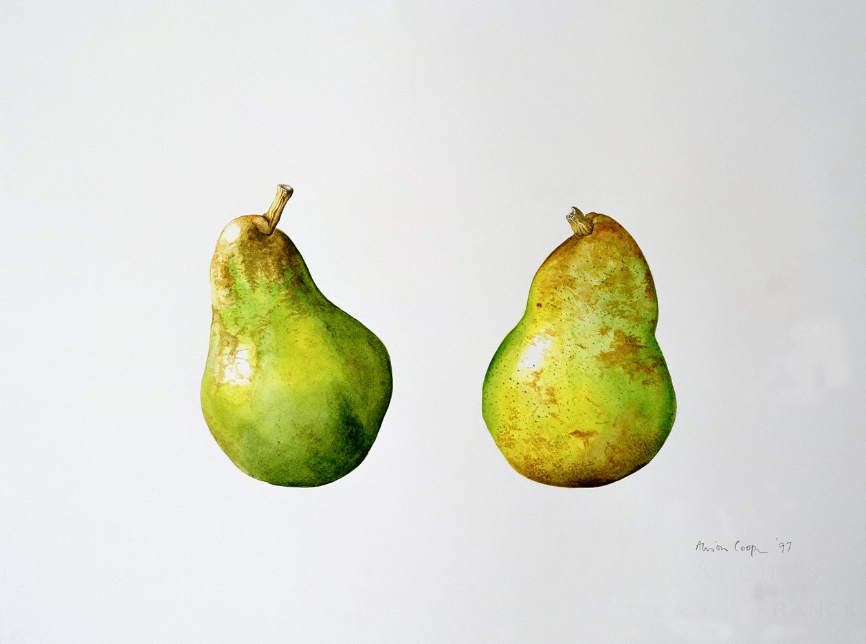 Et par pærer, 1997 av Alison Cooper