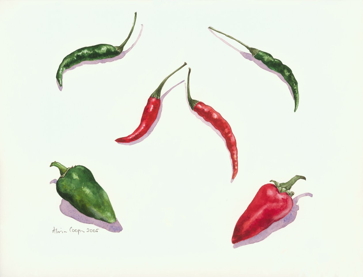 Chili og paprika, 2005 av Alison Cooper