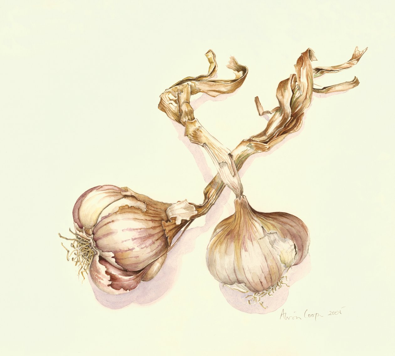 Hvitløksløk, 2005 av Alison Cooper