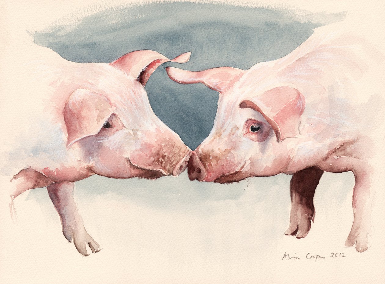 To små griser, 2012 av Alison Cooper