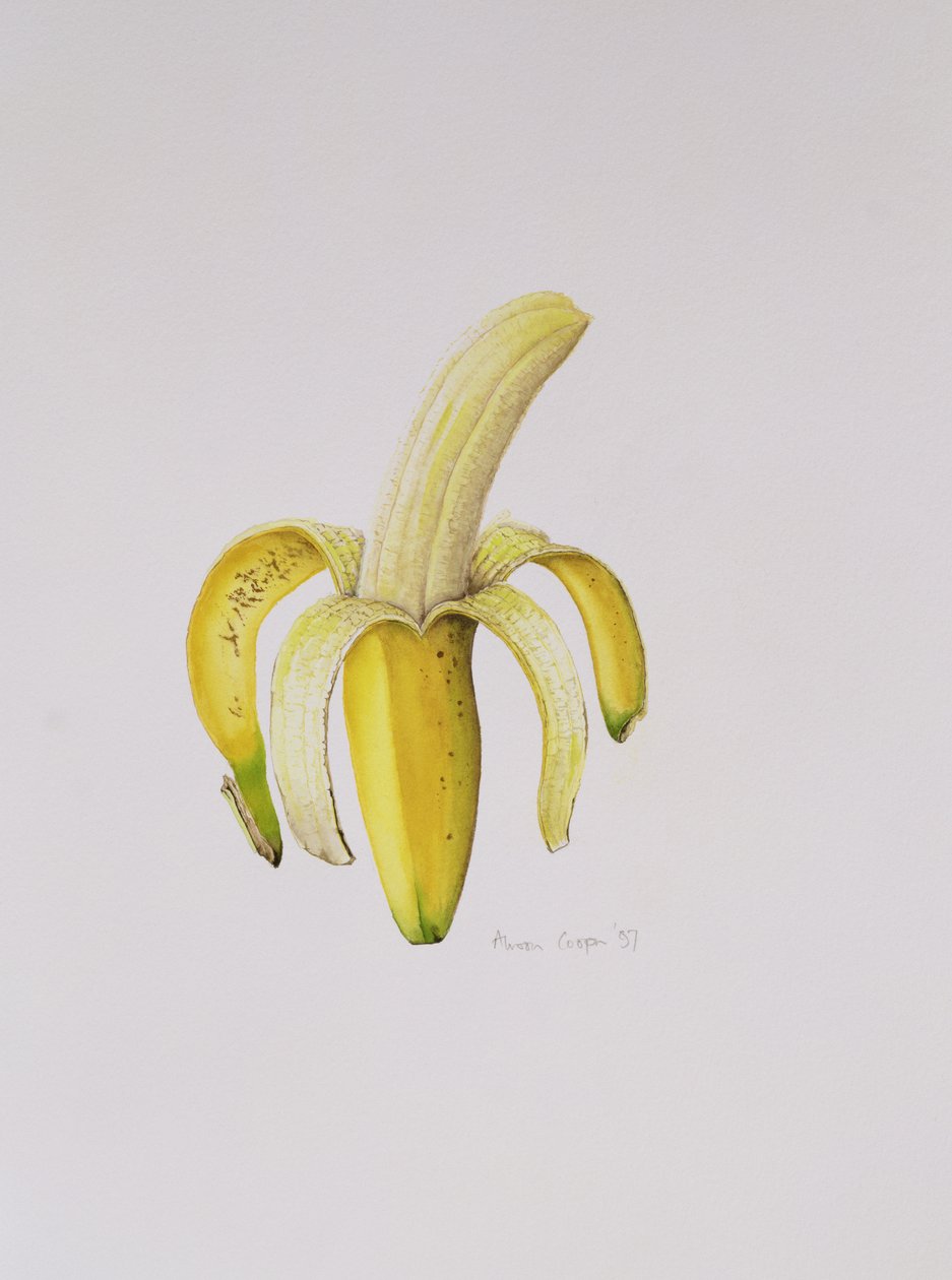 En halvskrælte banan, 1997 av Alison Cooper