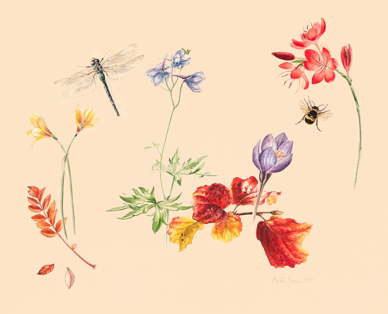 Høstblomster og insekter av Alison Cooper