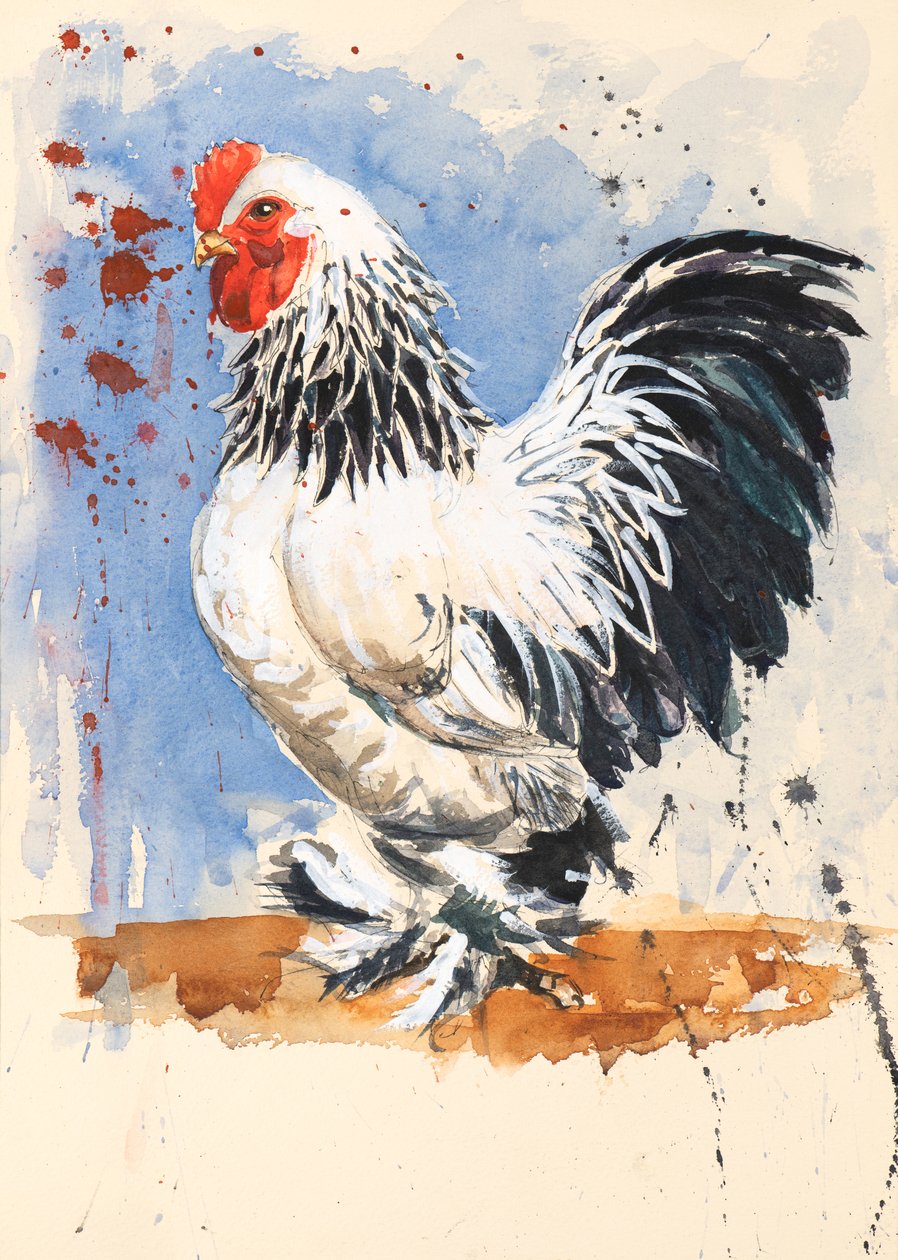 Brahma Bantam Cockerel, 2020 (akvarell) av Alison Cooper
