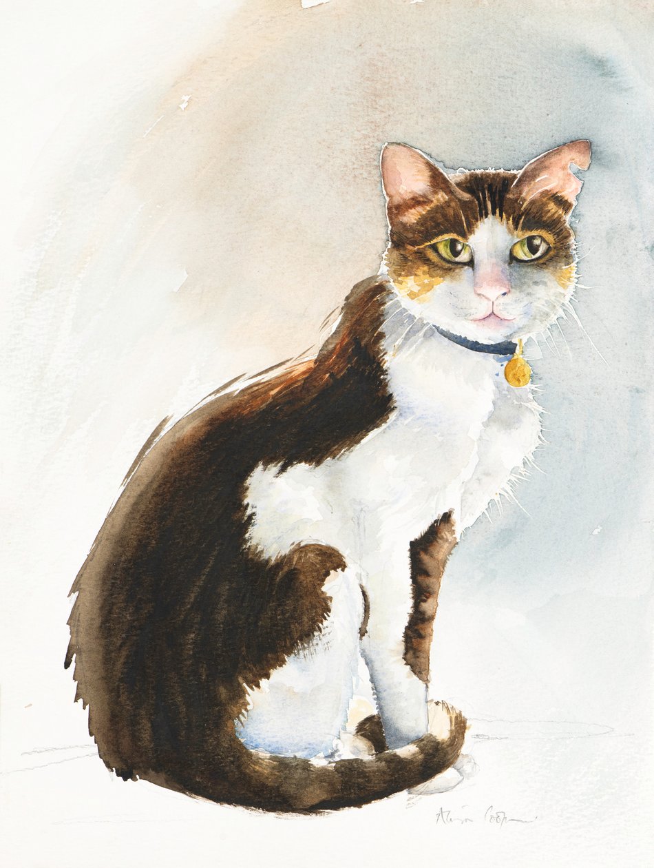Dave the Saudi Cat, 2019 (akvarell) av Alison Cooper