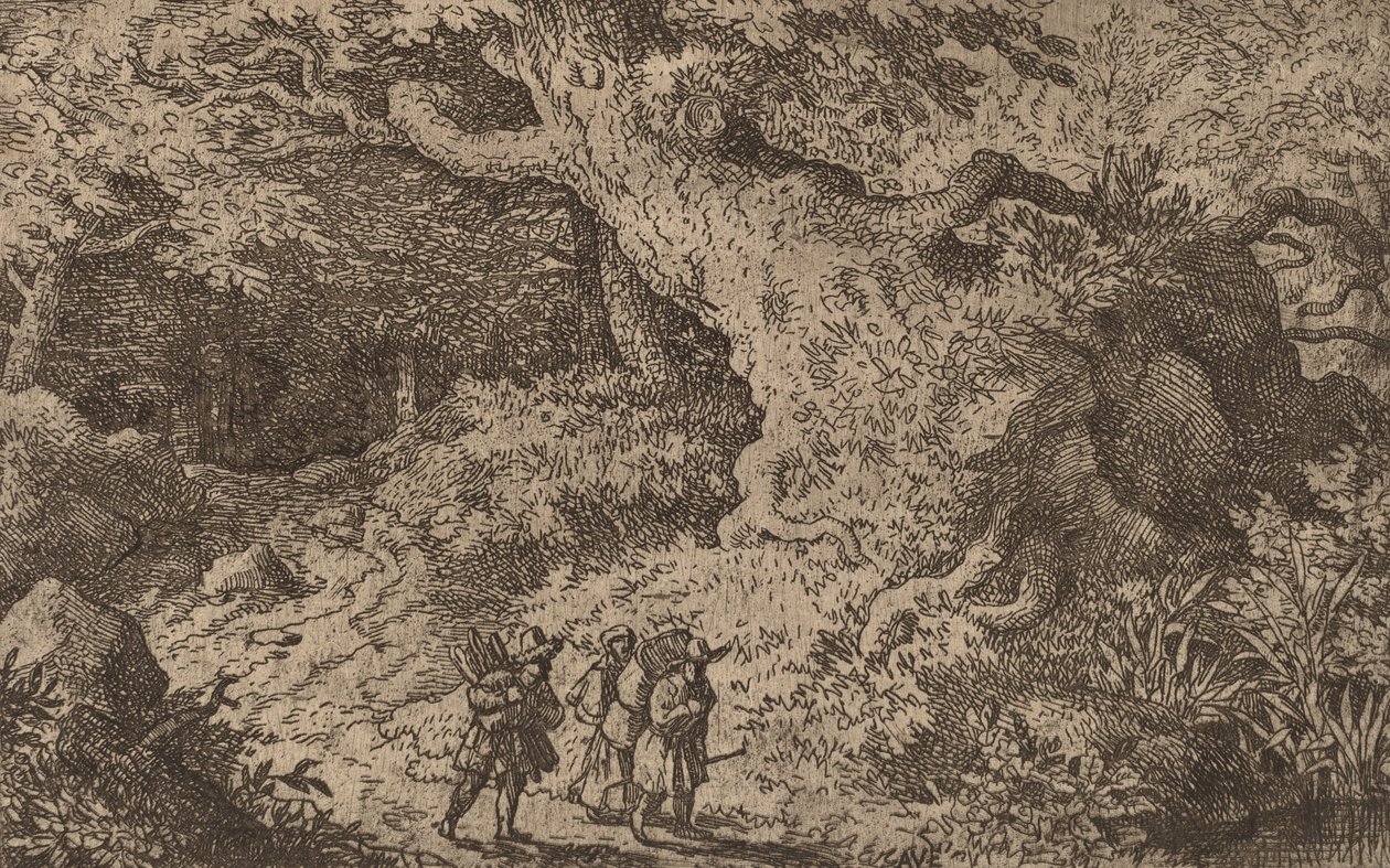 En tykk skog, sannsynligvis ca. 16451656. av Allart van Everdingen