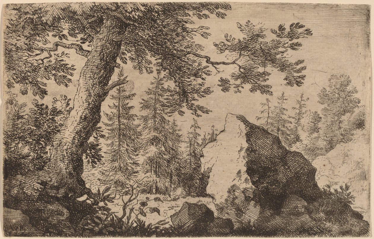 Boulder in the Woods av Allart van Everdingen