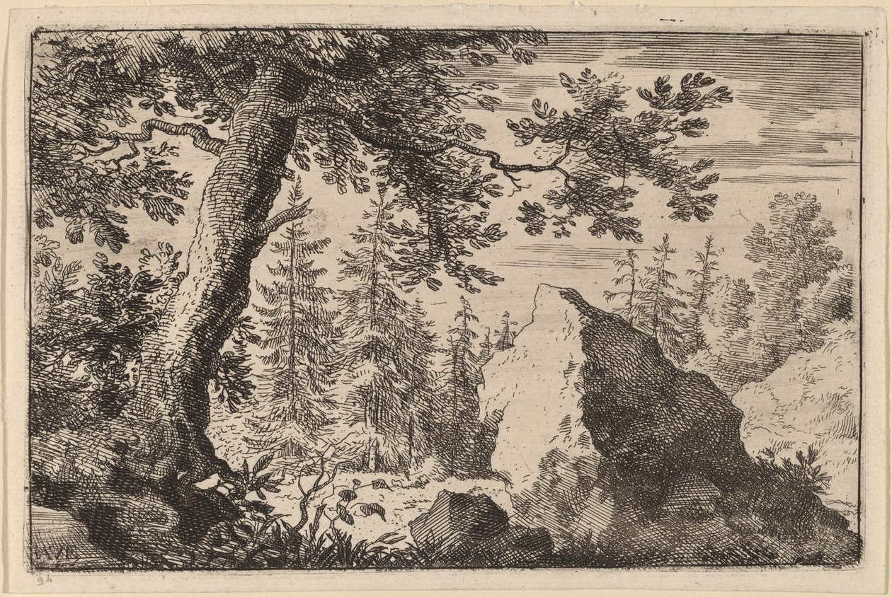 Boulder in the Woods av Allart van Everdingen