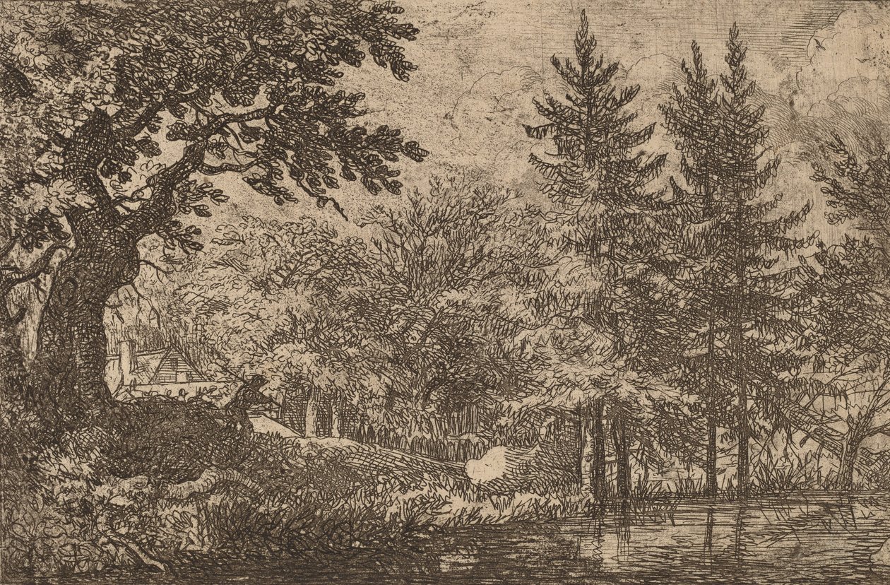 Grantrær ved vannet, sannsynligvis ca. 16451656. av Allart van Everdingen