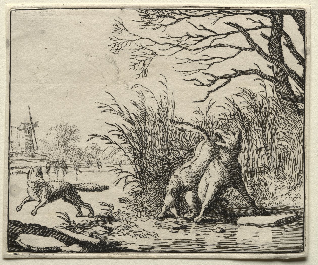 Reynard the Fox: A New Accusation by the Wolf av Allart van Everdingen