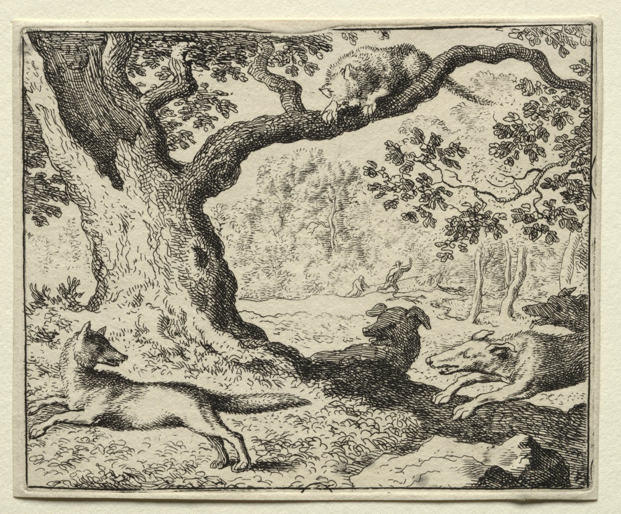 Reynard the Fox: Den illojale katten av Allart van Everdingen