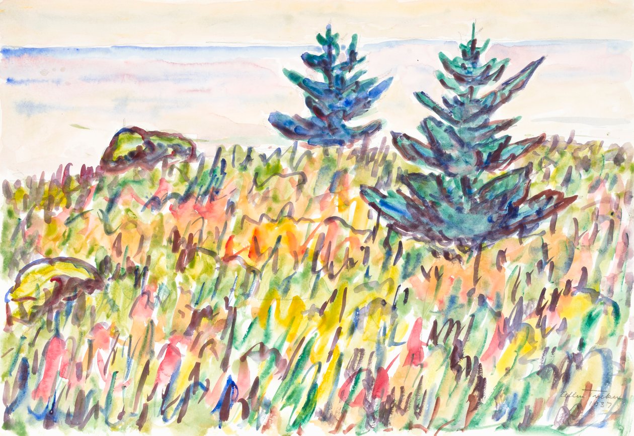 Akvarell nr. 35, Mark med to furutrær, 1937. av Allen Tucker