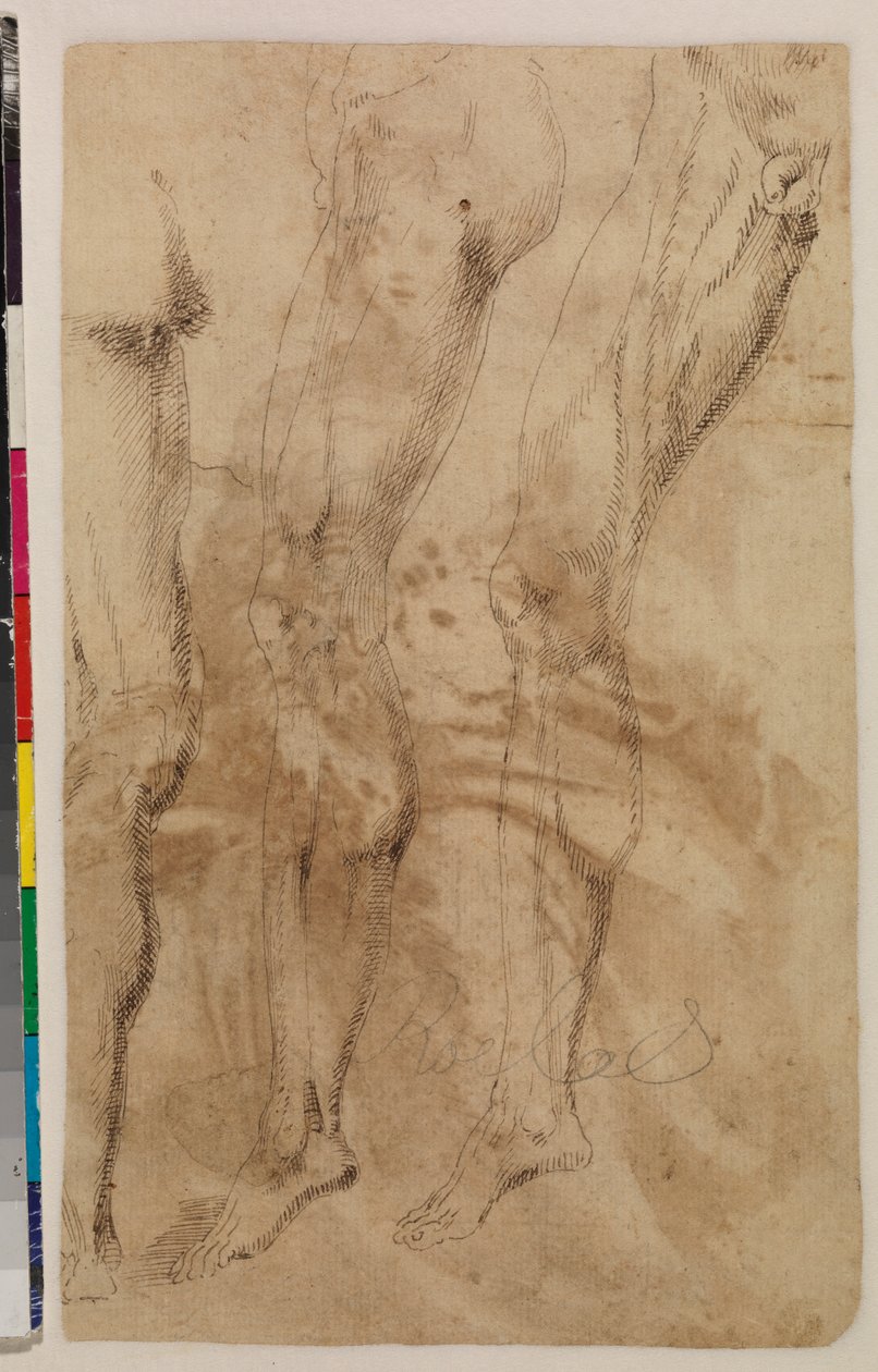 Tre studier av et mannlig ben (verso) ca. 1537 (penn og brunt blekk på lagt papir) [se 5948317] av Alonso (workshop of) Berruguete