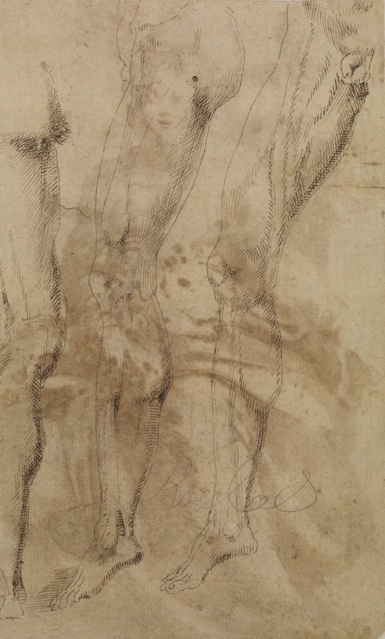 Tre studier av et mannlig ben, ca. 1637 av Alonso Berruguete