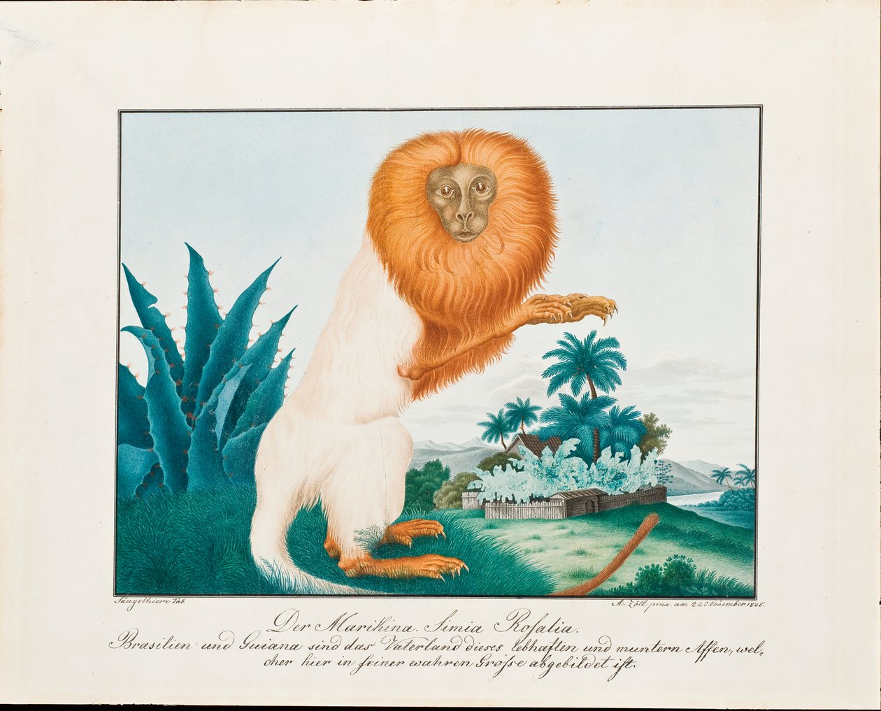 The White Saki, 1835 av Aloys Zötl