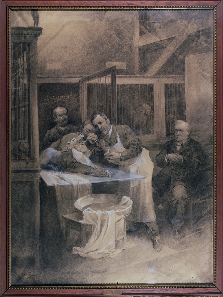 Louis Pasteur (1822-95) tar en prøve av skum fra en rabiat hund (kull) av Alphonse Mucha