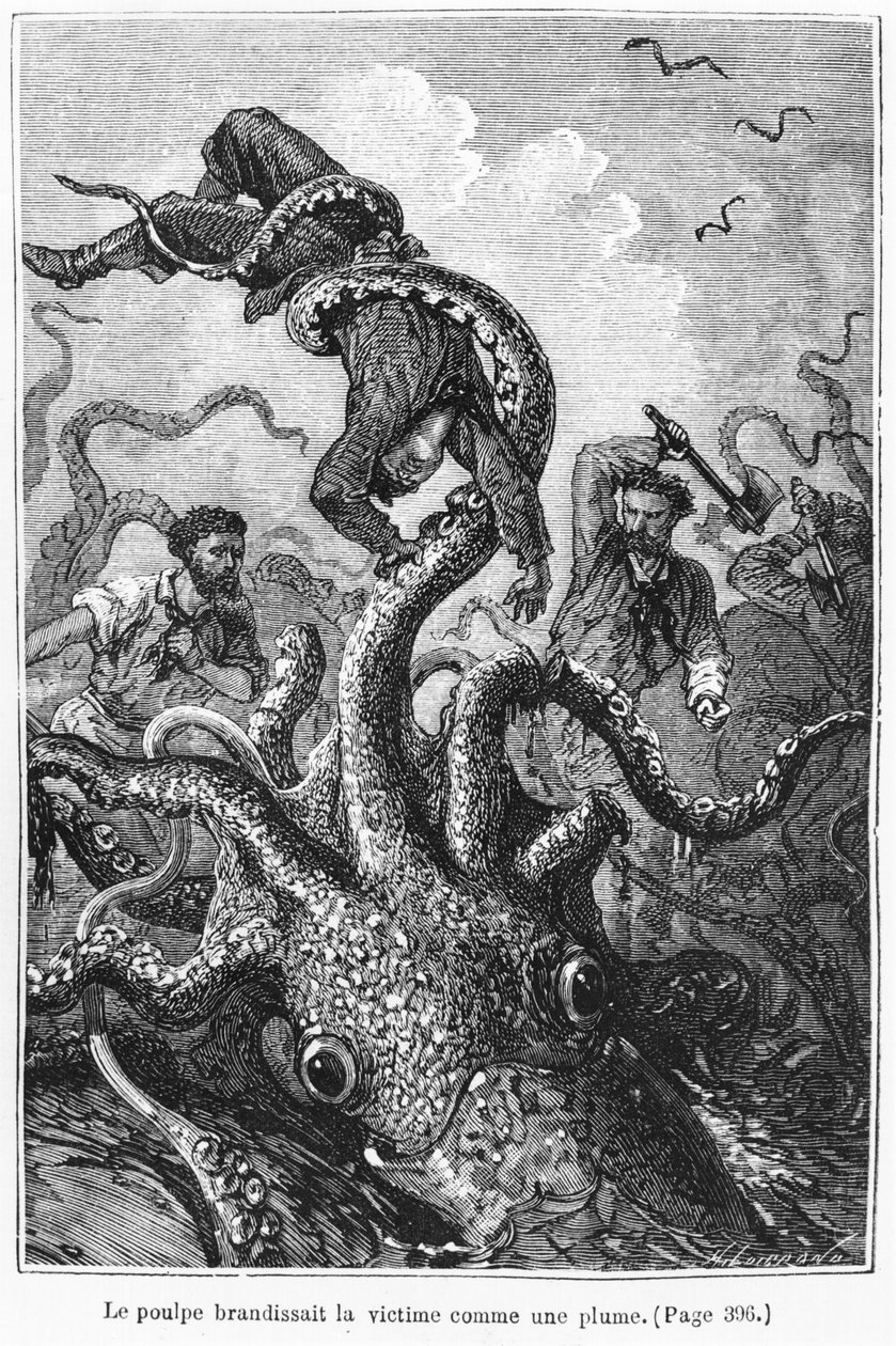 The Octopus Attacking the Nautilus, illustrasjon fra 