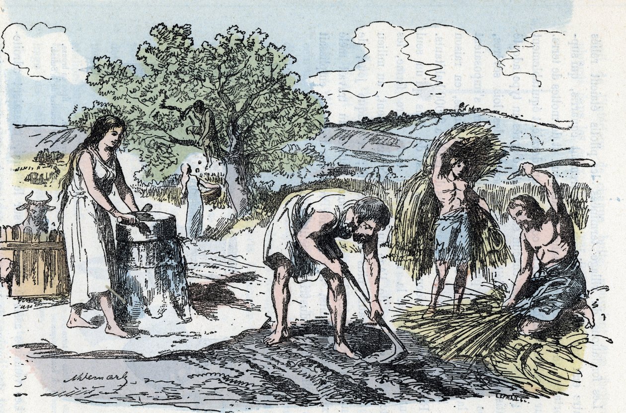 Daglig liv i forhistorien: scene for jordbruksarbeid i jerntiden Gravering fra "" La nature et l
