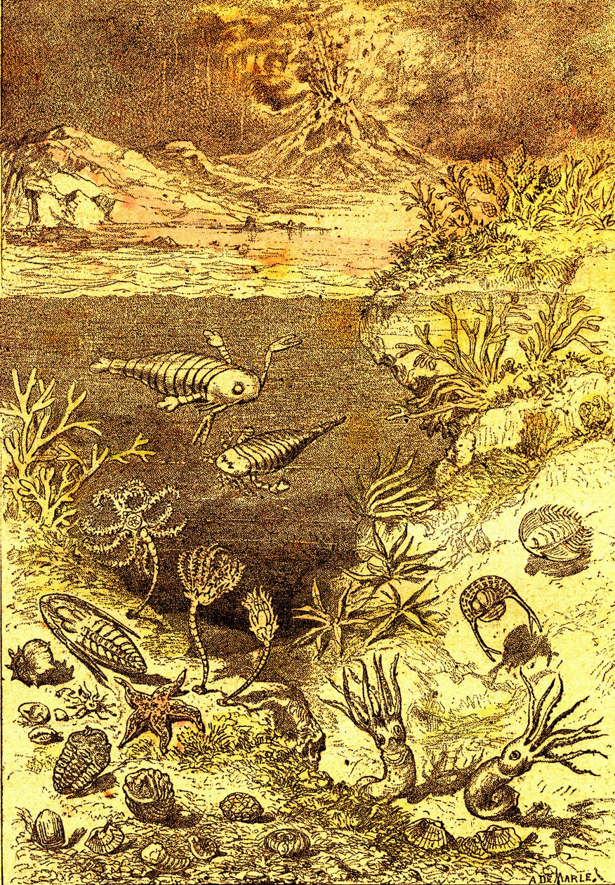 Forhistorie-Slutten av den siluriske perioden: Naturlig skapelse og levende vesener (J. Rengade) Tegning A. Demarle. 1885 av Alphonse Demarle