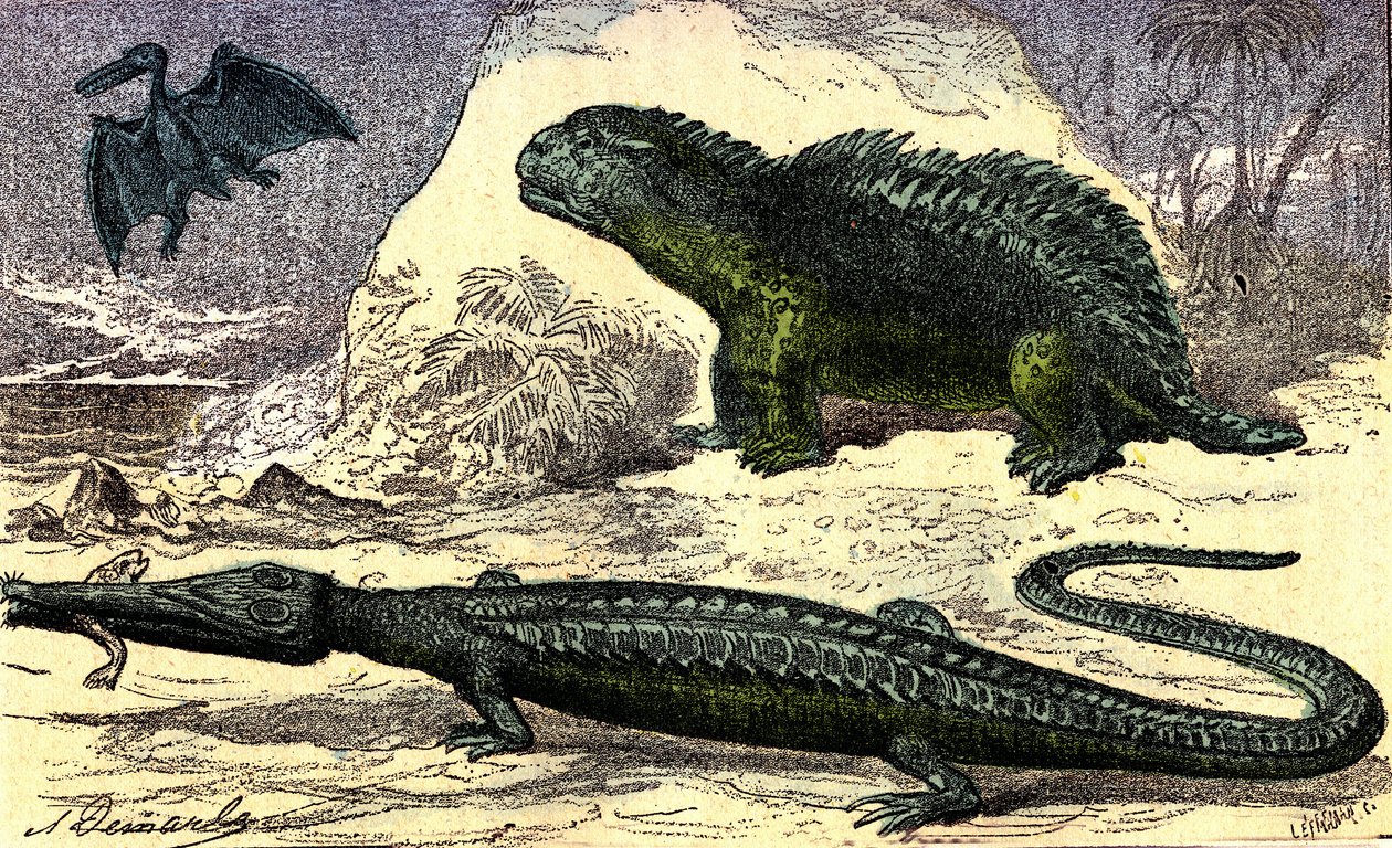 Forhistorie - Juraperioden: Teleosauren og Hyleosauren. Pterodactylen ovenpå. Naturlig skapelse og levende vesener. Tegning av A. Demarle. 1885 av Alphonse Demarle