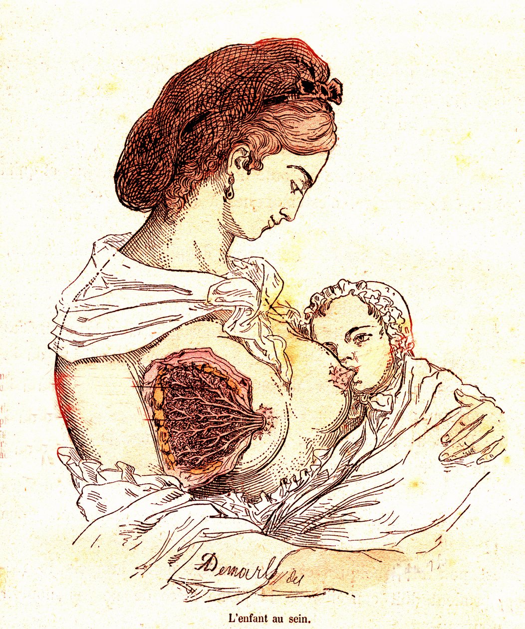 Barnet i brystet (J. Rengades normale liv og helse) - Amming. Tegning av A. Demarle 1881 av Alphonse Demarle