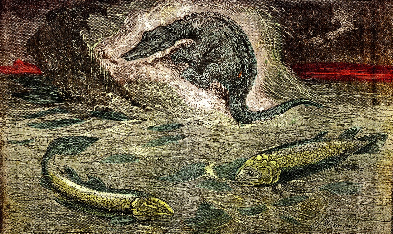 Overgang fra fisk til reptiler: Proteosaur (øverst) reptil fra fisk, periode med kull. Holoptychius nederst til venstre, og L'Osteolepis til høyre. 1885. Naturlig skapelse og levende vesener. Tegning A. Demarle av Alphonse Demarle