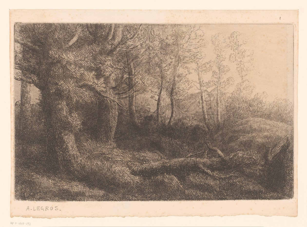skogutsikt av Alphonse Legros (attributed to)