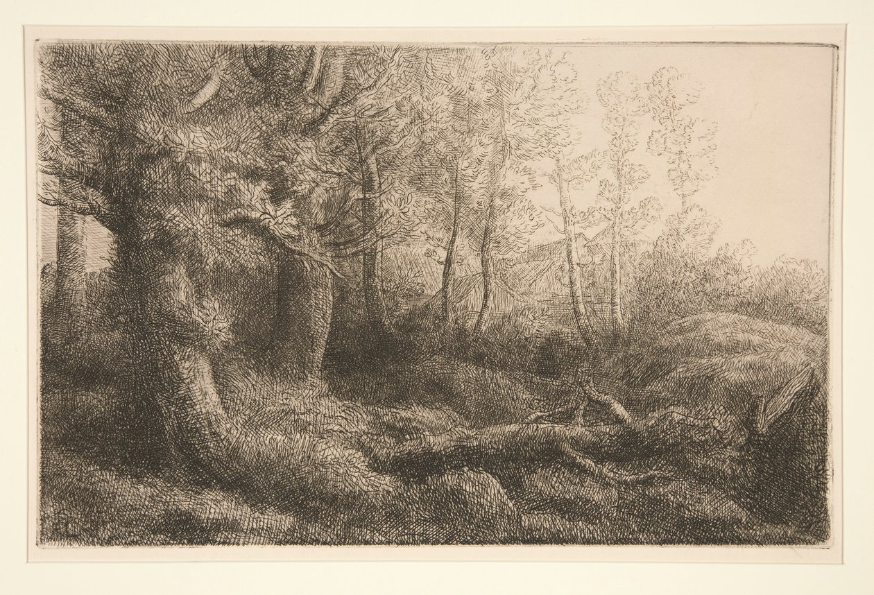 En skogstudie av Alphonse Legros