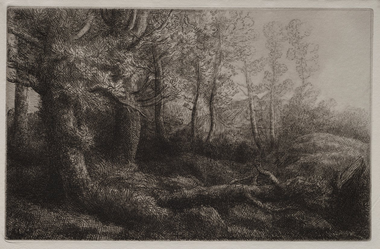 En skogstudie. av Alphonse Legros