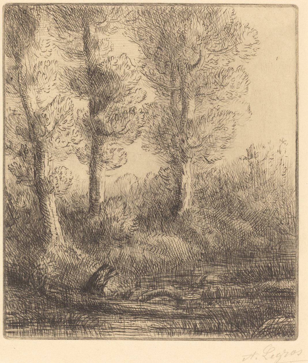 Banks of the Saint-Pre (Rive du Saint-Pre) av Alphonse Legros