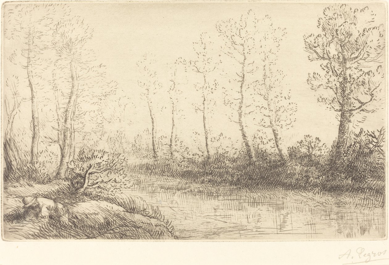 Birch Trees: Water's Edge Seen in Morning Light av Alphonse Legros