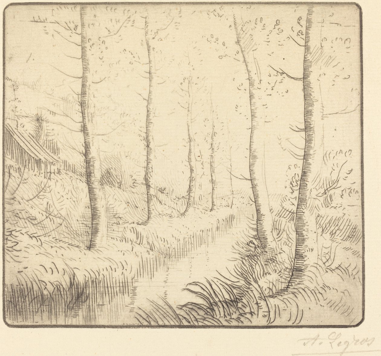 Bjørketrær langs vannet av Alphonse Legros